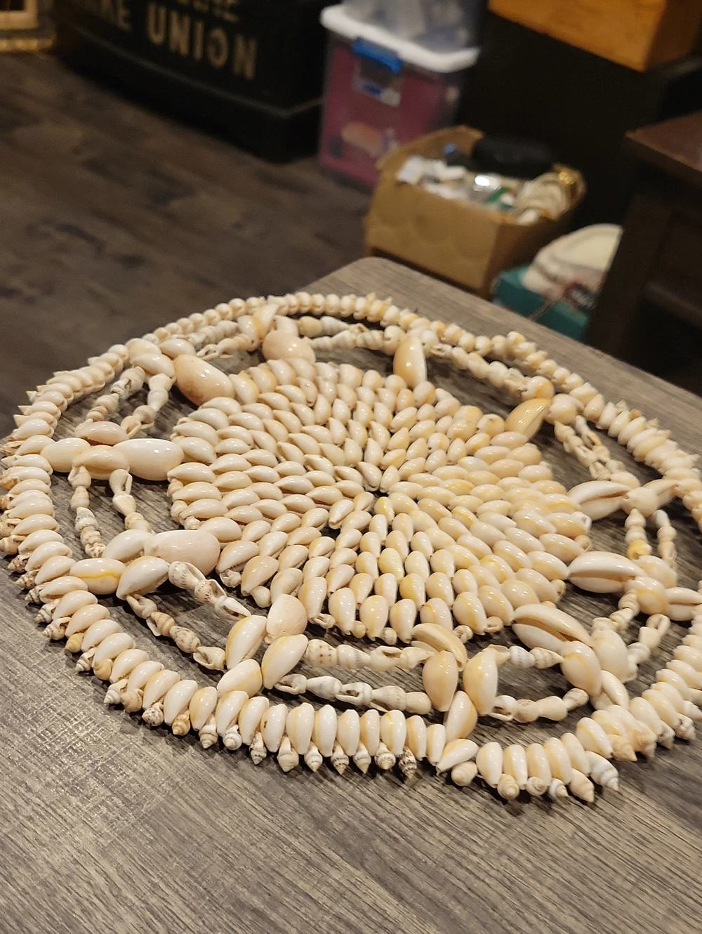 Cowrie Shell Trivet Or Plant Doilie:) EUC / 11 Inches Across